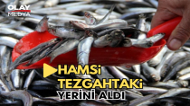 HAMSİSİZ TEZGAH OLMAZ