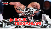 BALIK TEZGAHLARI ŞENLENDİ