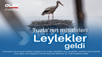 LEYLEKLER TUZLA'YA GELDİ