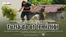 TUZLA BELEDİYESİ'NDEN YABANİ OT SEFERBERLİĞİ