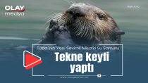 TUZLA'DA SU SAMURU TEKNE KEYFİ YAPTI