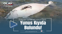 ÖLÜ YUNUS KIYIYA VURDU!
