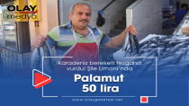 PALAMUT 50 LİRAYA KADAR DÜŞTÜ!